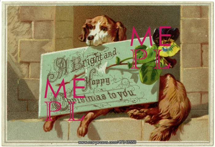 : DOG AND XMAS GREETING : DOG AND XMAS GREETING
