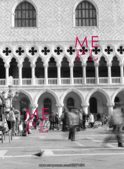 : Doges Palace, St Mark's, Venice : Doges Palace, St Mark's, Venice