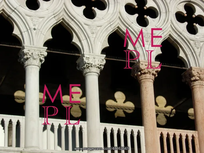  : Detail of the Doge's Palace, Venice