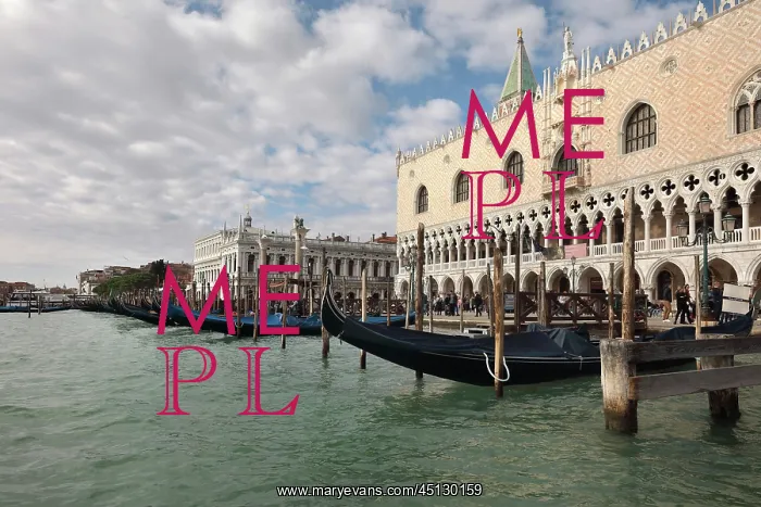 : Doge's Palace, Venice, Italy : Doge's Palace, Venice, Italy