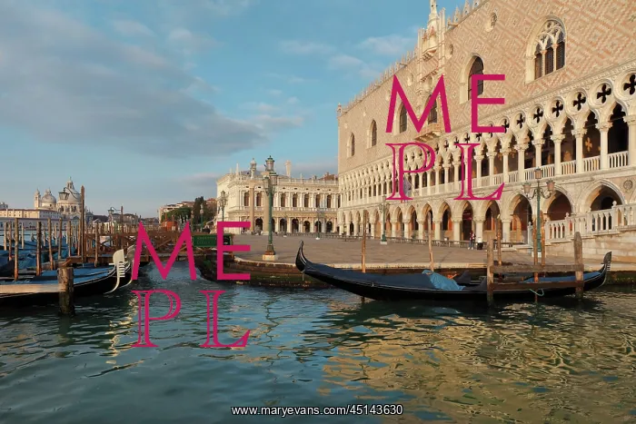 : Doge's Palace, Venice, Italy : Doge's Palace, Venice, Italy