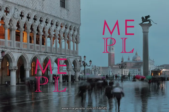 : Doge's Palace, Venice, Italy : Doge's Palace, Venice, Italy