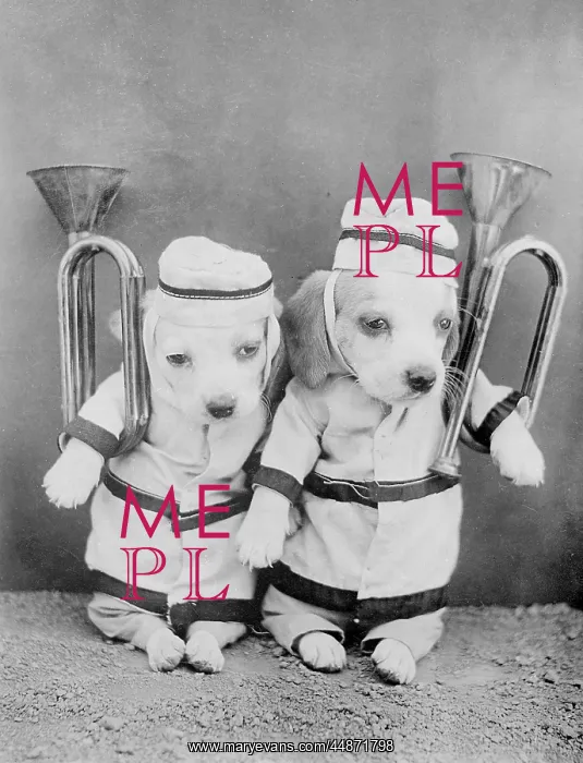  : DOGGY BRASS BAND