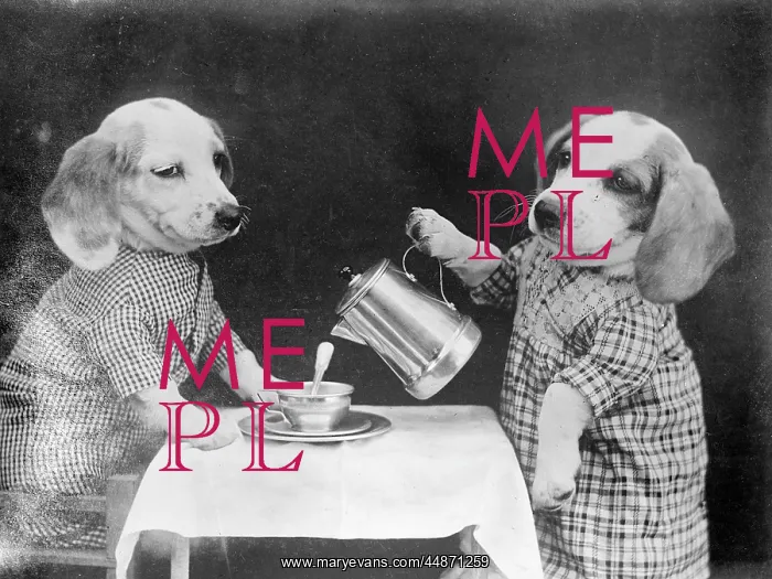 : DOGGY COFFEE BREAK : DOGGY COFFEE BREAK