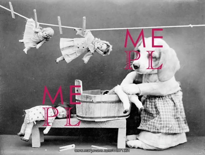 : DOGGY LAUNDRESS : DOGGY LAUNDRESS