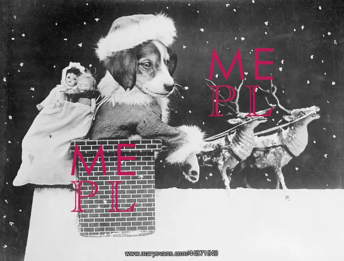 : DOGGY SANTA : DOGGY SANTA