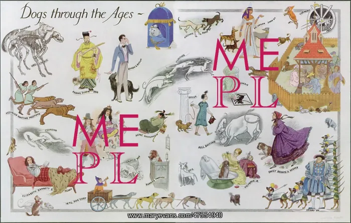 : Dogs Through the Ages : Dogs Through the Ages