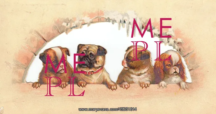 : Four dogs in an arch on a Christmas card : Four dogs in an arch on a Christmas card