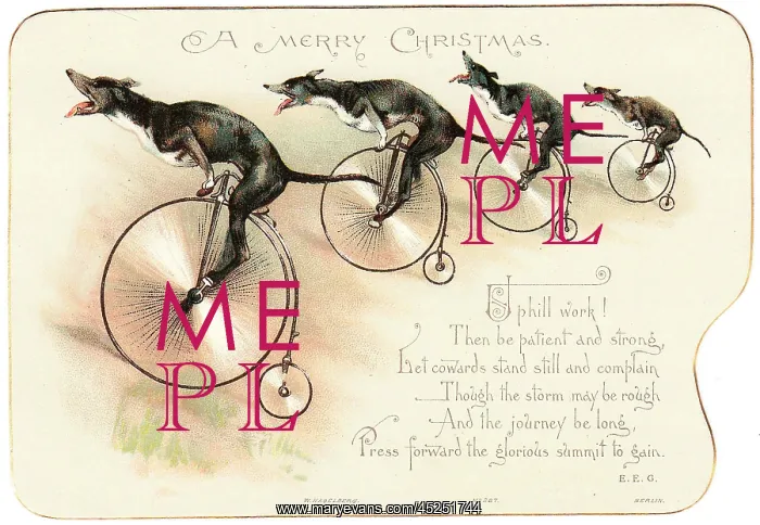 : Four dogs on bicycles on a Christmas card : Four dogs on bicycles on a Christmas card
