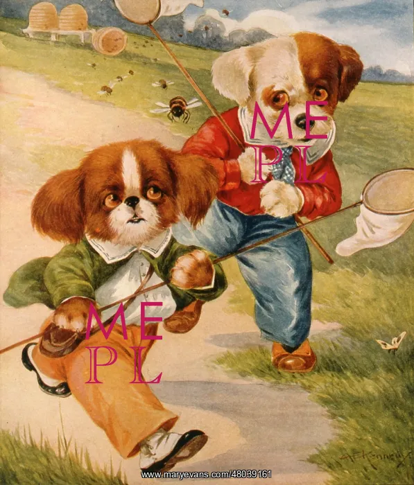  : Two dogs with butterfly nets