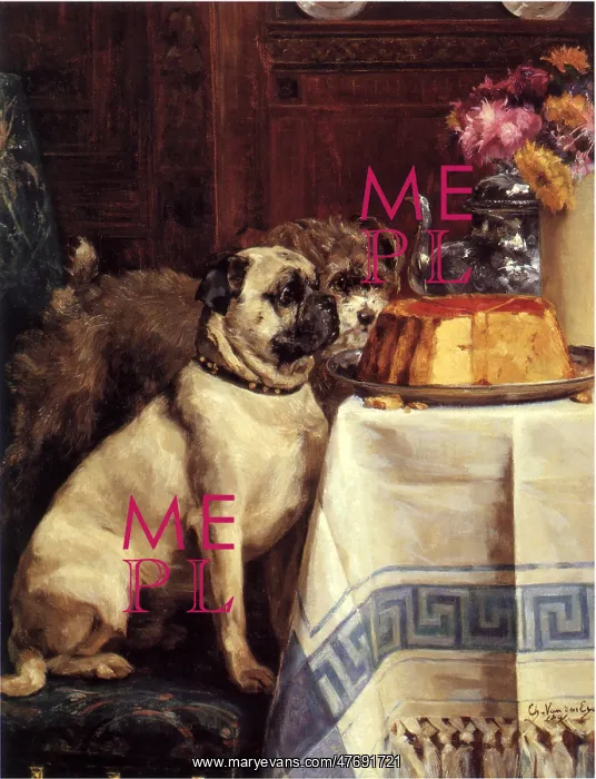 : Dogs and Cake