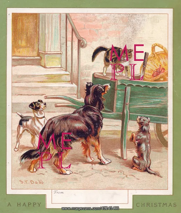 : Three dogs and a cat on a Christmas card : Three dogs and a cat on a Christmas card