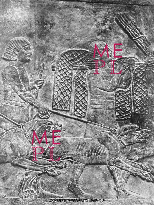 : Dogs of the chase, 500BC : Dogs of the chase, 500BC
