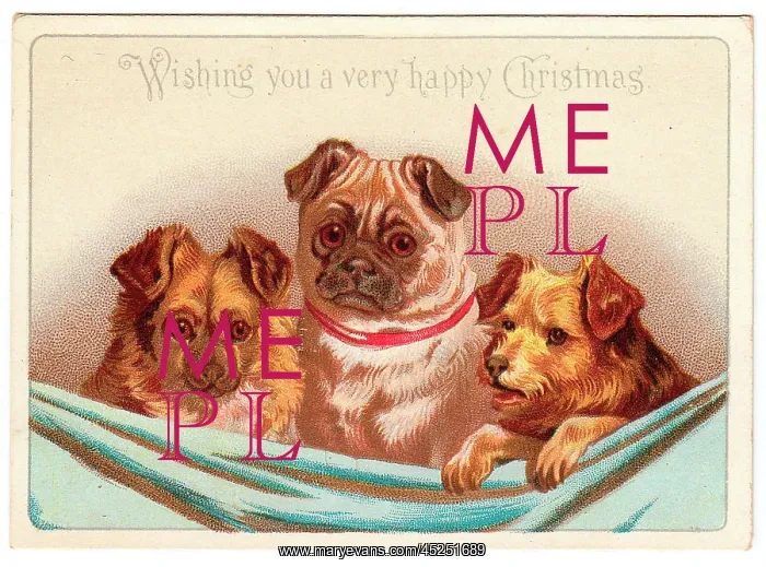  : Three dogs on a Christmas card