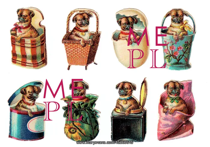 : Dogs in containers on eight Victorian scraps : Dogs in containers on eight Victorian scraps
