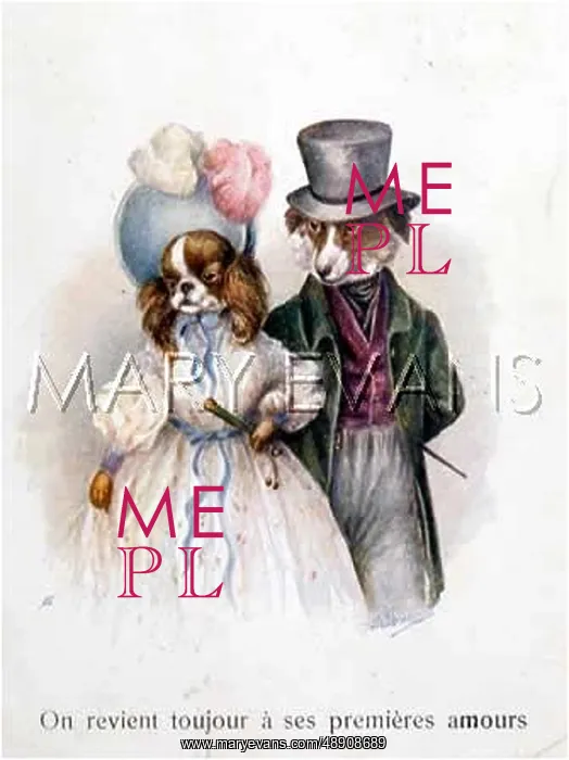  : DOGS AS COUPLE