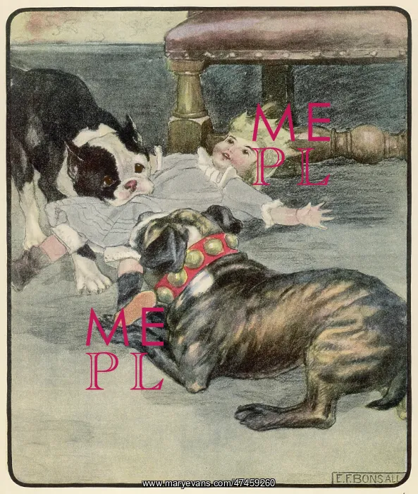 : TWO DOGS AND A DOLL : TWO DOGS AND A DOLL
