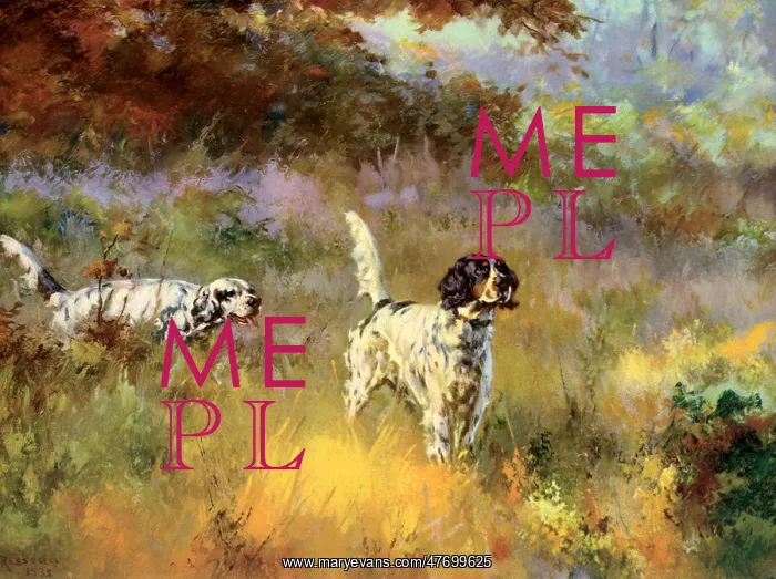  : Two Dogs Eyeing Birds