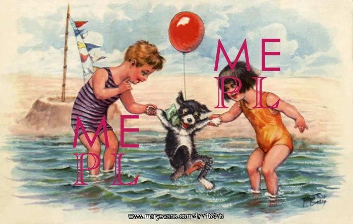  : Dogs First Swim