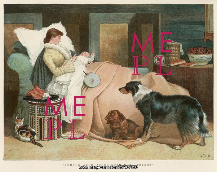  : DOGS FORGOTTEN