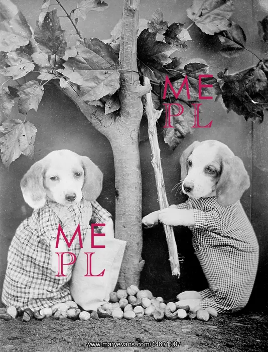 : DOGS UNDER FRUIT TREE : DOGS UNDER FRUIT TREE