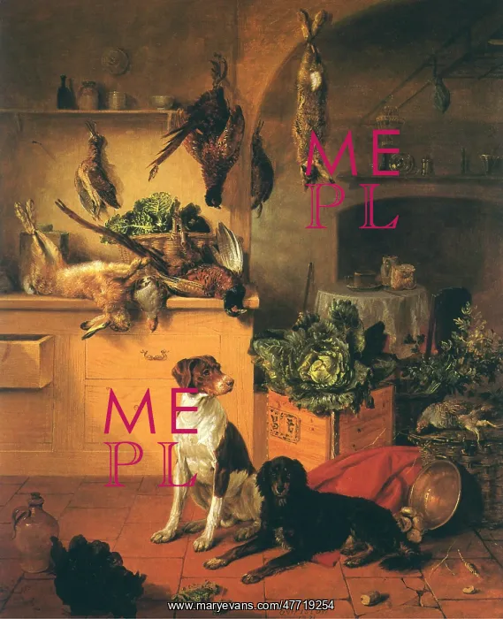  : Dogs and Game in Kitchen