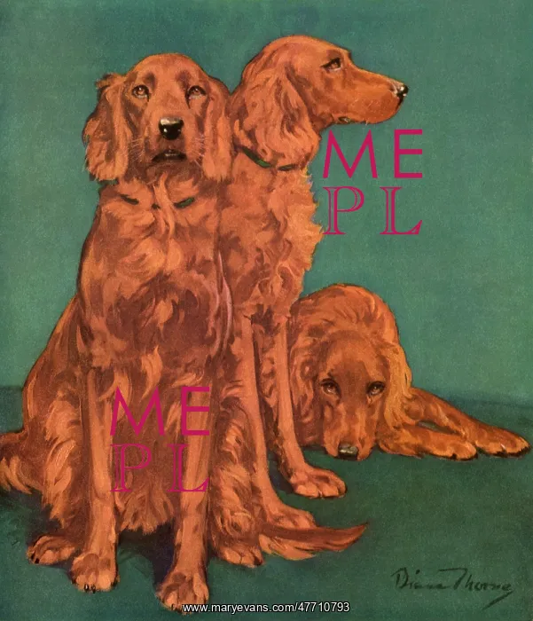  : Three Dogs on Green