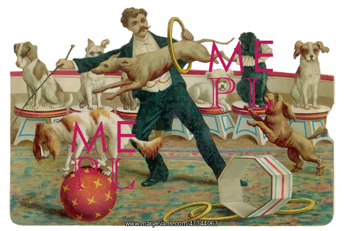 : Dogs at Hippodrome