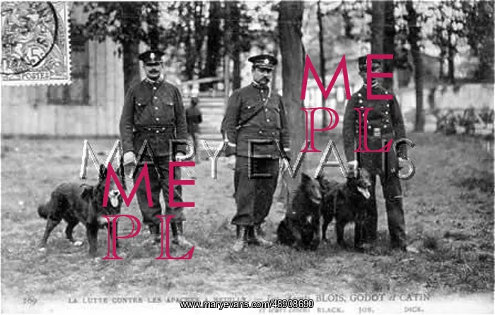 : DOGS AGAINST HOOLIGANS : DOGS AGAINST HOOLIGANS