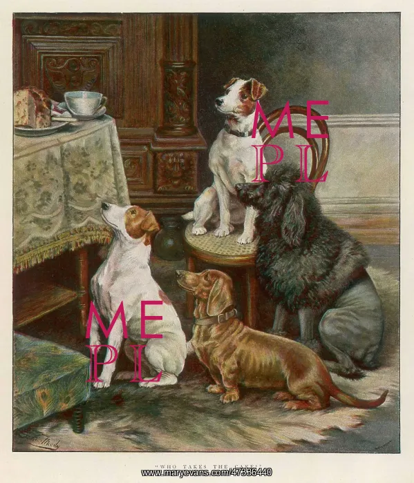  : DOGS LUST FOR FOOD