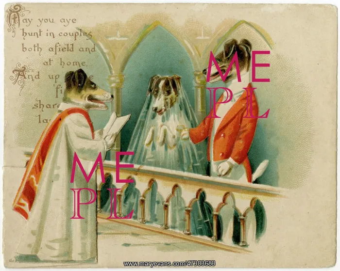 : DOGS GET MARRIED : DOGS GET MARRIED