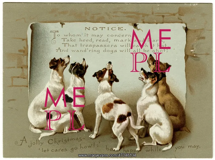: DOGS READING NOTICE : DOGS READING NOTICE