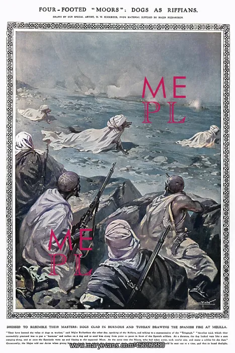: Dogs as Riffians during Melillan Campaign : Dogs as Riffians during Melillan Campaign