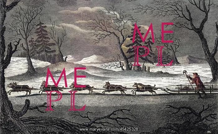  : DOGS IN SIBERIA