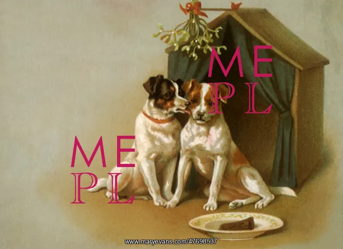 : Dogs Sit By Doghouse : Dogs Sit By Doghouse