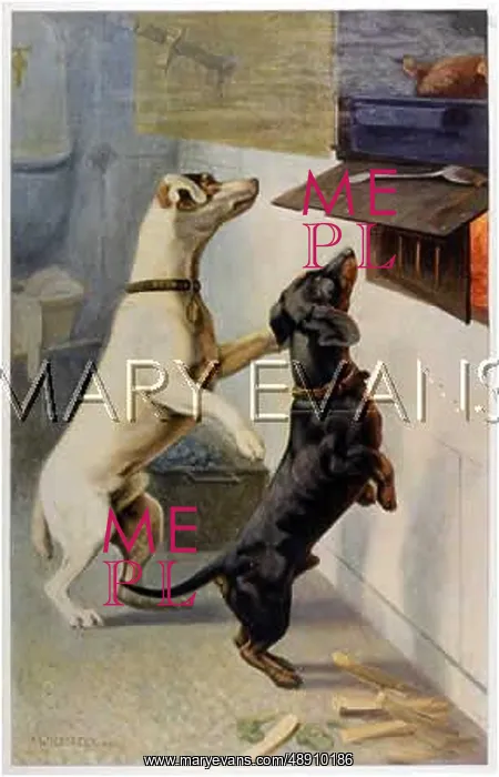 : DOGS SMELL FOOD : DOGS SMELL FOOD