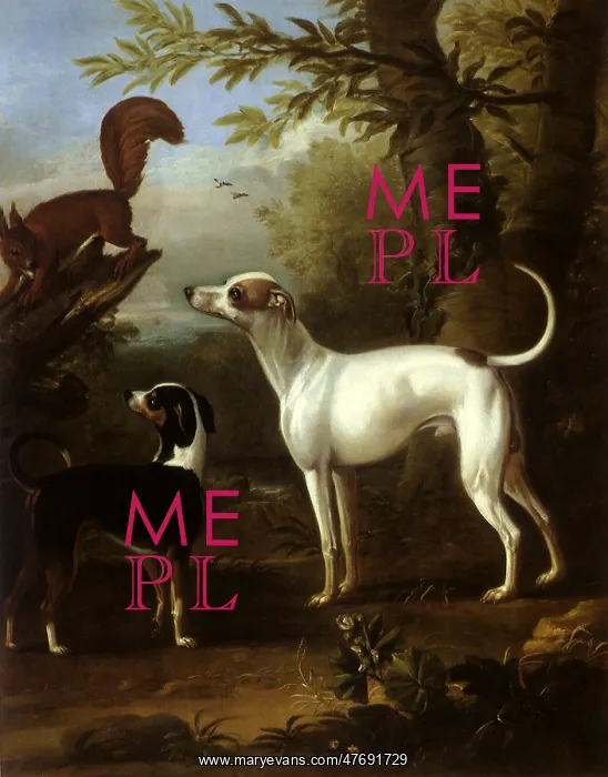  : Two Dogs and a Squirrel