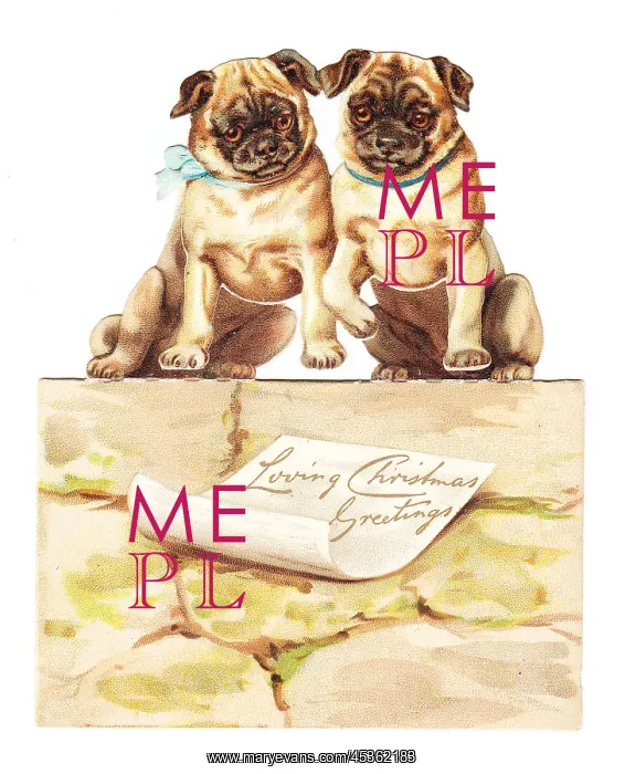  : Two dogs on a wall on a cutout Christmas card