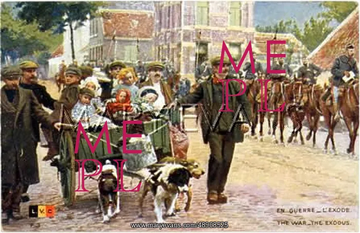 : DOGS AND WAR REFUGEES : DOGS AND WAR REFUGEES