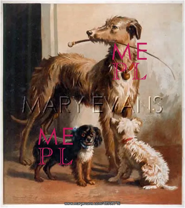 : THREE DOGS AND WHIP : THREE DOGS AND WHIP