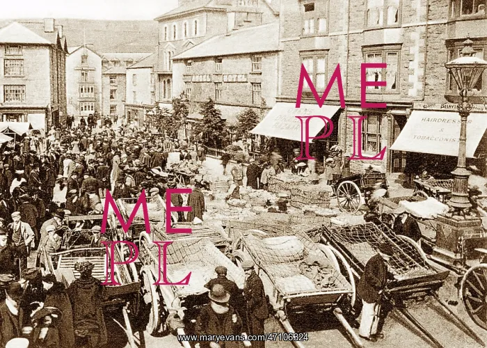  : Dolgellau Fair early 1900s