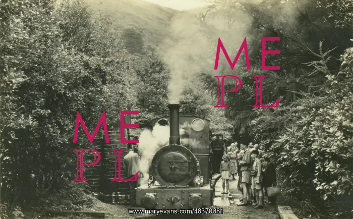 : Dolgoch Station : Dolgoch Station