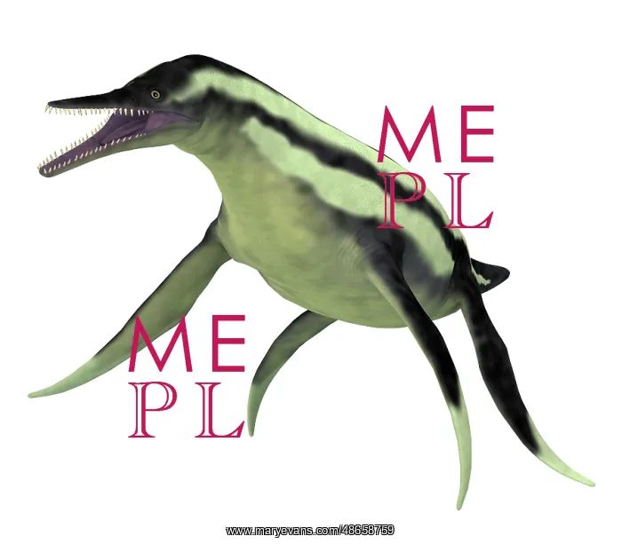 : Dolichorhynchops aquatic reptile, side view on : Dolichorhynchops aquatic reptile, side view on