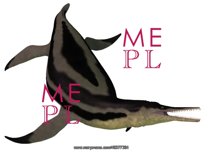 : Dolichorhynchops, an extinct genus of short-neck Plesiosaur : Dolichorhynchops, an extinct genus of short-neck Plesiosaur