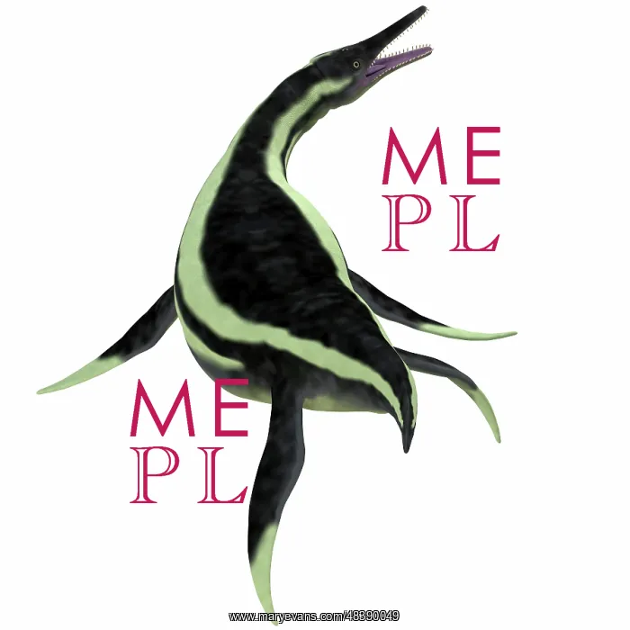 : Dolichorhynchops marine reptile : Dolichorhynchops marine reptile