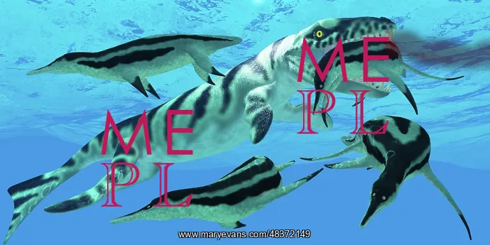 : Dolichorhynchops plesiosaurs try to evade a Dakosaurus ? : Dolichorhynchops plesiosaurs try to evade a Dakosaurus ?