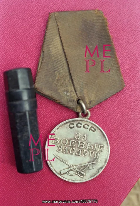 : Dolina WWII remains search team : Dolina WWII remains search team