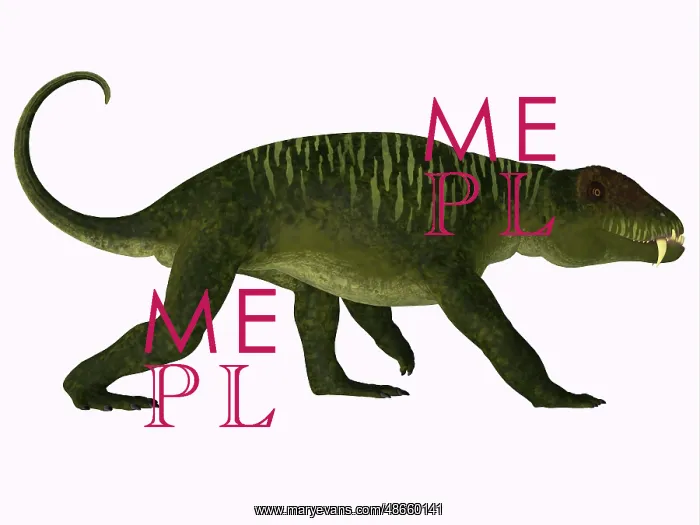 : Doliosauriscus dinosaur, side view : Doliosauriscus dinosaur, side view