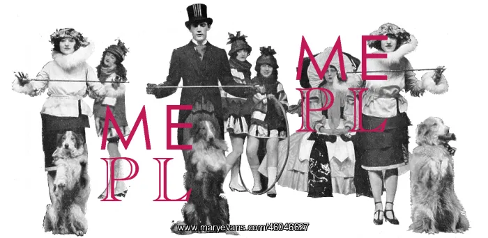  : The Dollies and the Collies