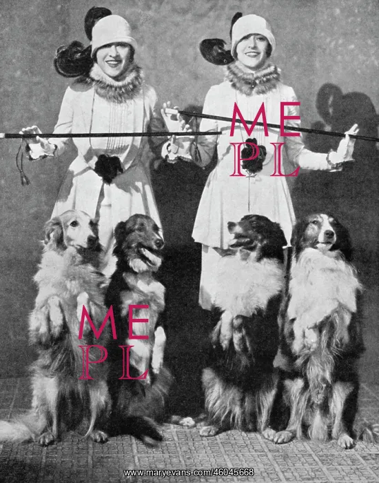 : The Dolly Sisters with their Collies : The Dolly Sisters with their Collies